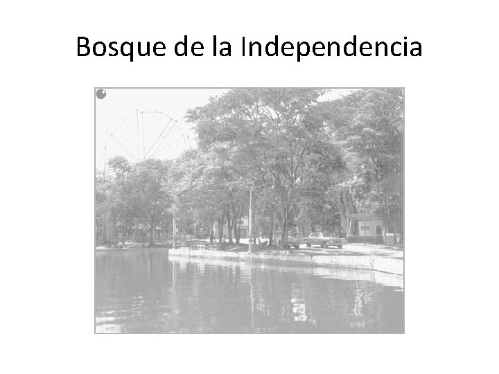 Bosque de la Independencia 