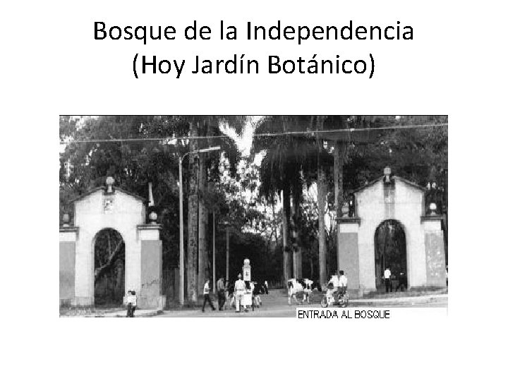 Bosque de la Independencia (Hoy Jardín Botánico) 