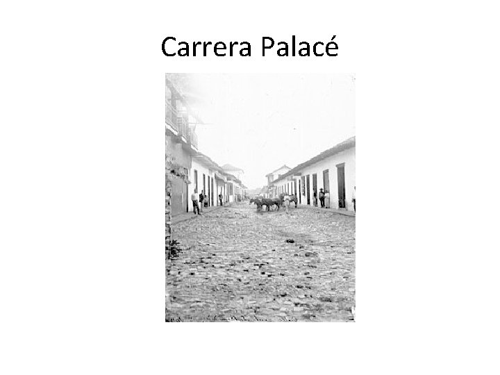 Carrera Palacé 