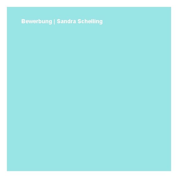 Bewerbung | Sandra Schelling 