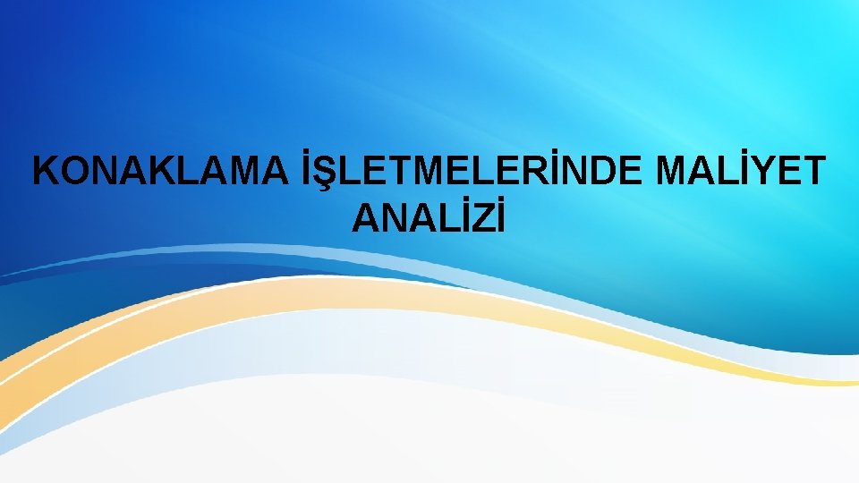 KONAKLAMA İŞLETMELERİNDE MALİYET ANALİZİ 