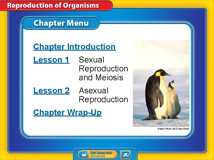 Chapter Introduction Lesson 1 Sexual Reproduction and Meiosis Lesson 2 Asexual Reproduction Chapter Wrap-Up