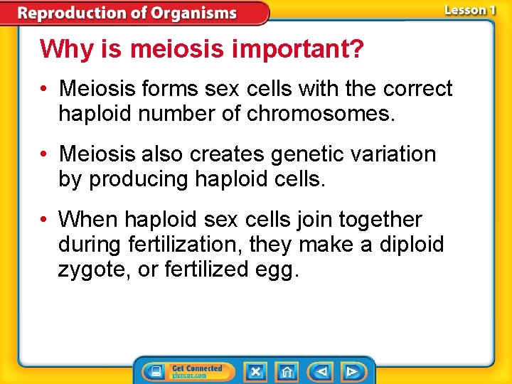 Why is meiosis important? • Meiosis forms sex cells with the correct haploid number