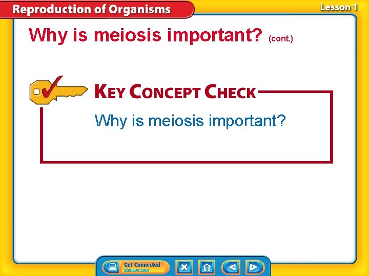 Why is meiosis important? (cont. ) Why is meiosis important? 