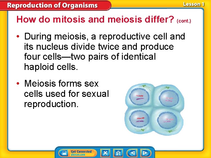 How do mitosis and meiosis differ? (cont. ) • During meiosis, a reproductive cell