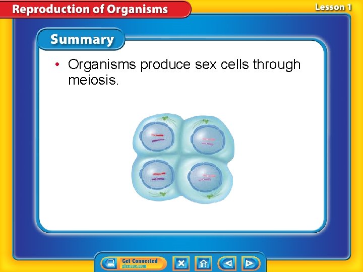  • Organisms produce sex cells through meiosis. 