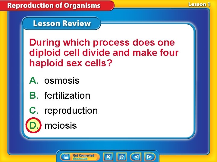 During which process does one diploid cell divide and make four haploid sex cells?