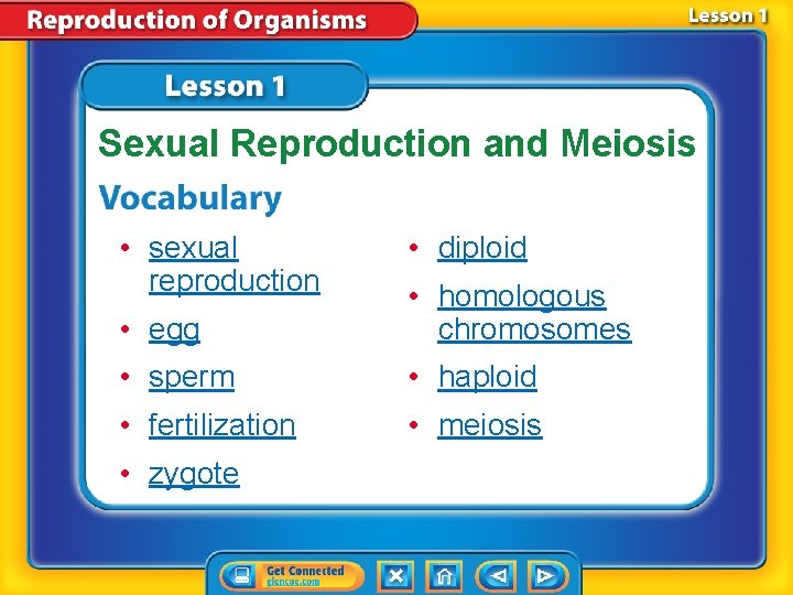 Sexual Reproduction and Meiosis • sexual reproduction • diploid • egg • homologous chromosomes