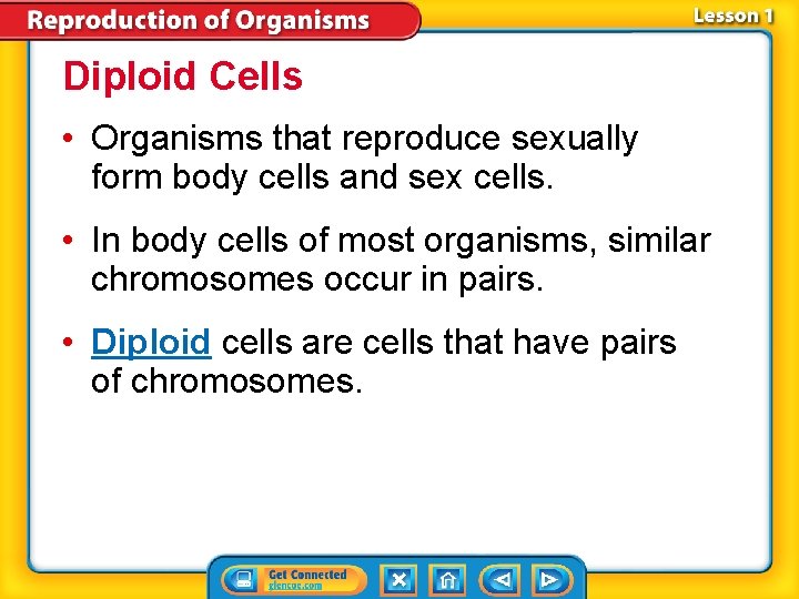 Diploid Cells • Organisms that reproduce sexually form body cells and sex cells. •