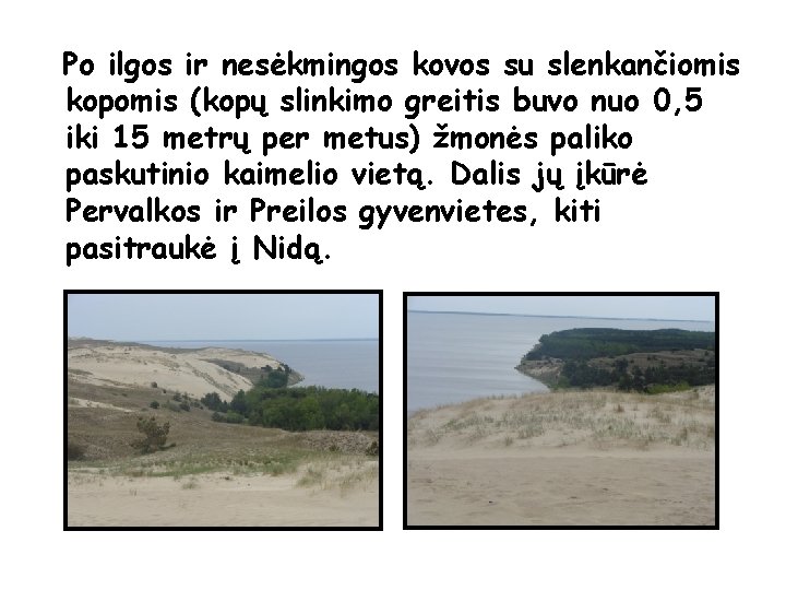 Po ilgos ir nesėkmingos kovos su slenkančiomis kopomis (kopų slinkimo greitis buvo nuo 0,