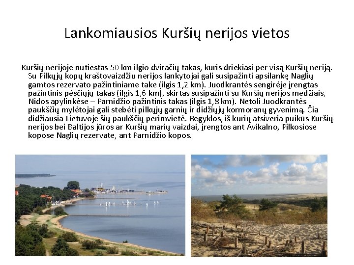 Lankomiausios Kuršių nerijos vietos Kuršių nerijoje nutiestas 50 km ilgio dviračių takas, kuris driekiasi