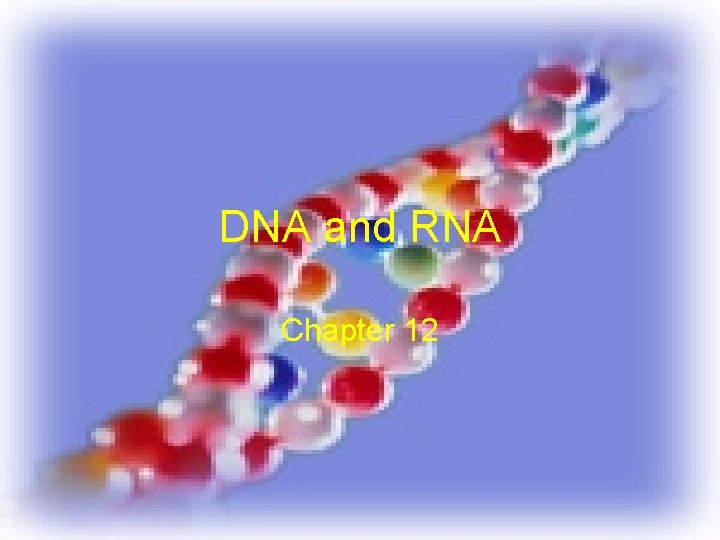 DNA and RNA Chapter 12 