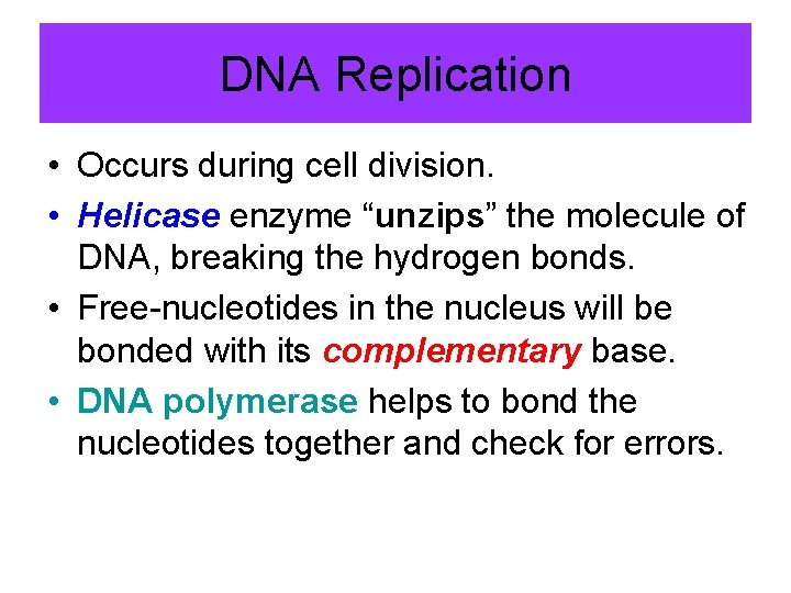 DNA Replication • Occurs during cell division. • Helicase enzyme “unzips” the molecule of