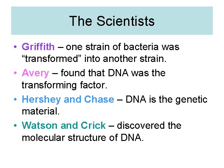 The Scientists • Griffith – one strain of bacteria was “transformed” into another strain.