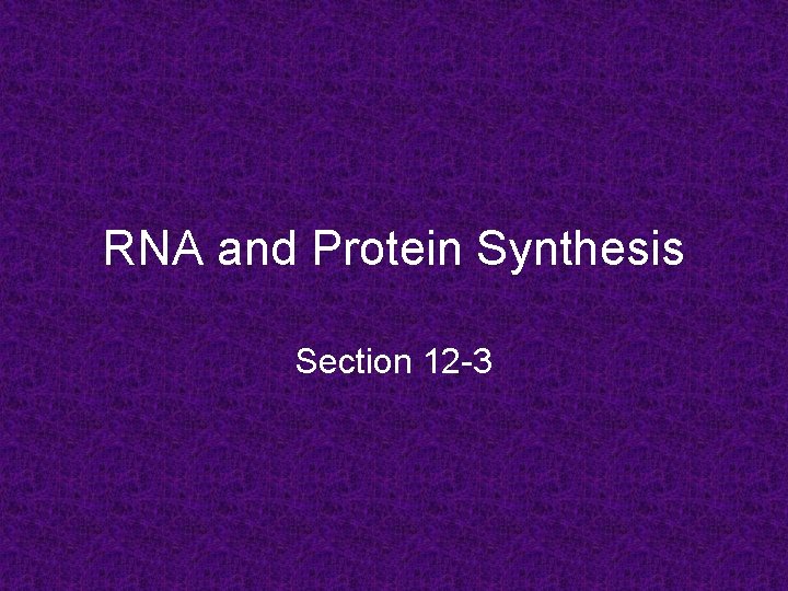 RNA and Protein Synthesis Section 12 -3 