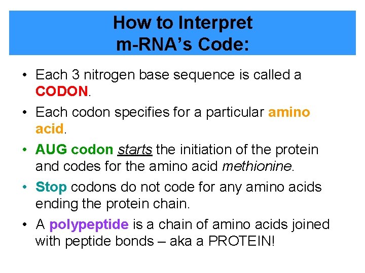 How to Interpret m-RNA’s Code: • Each 3 nitrogen base sequence is called a