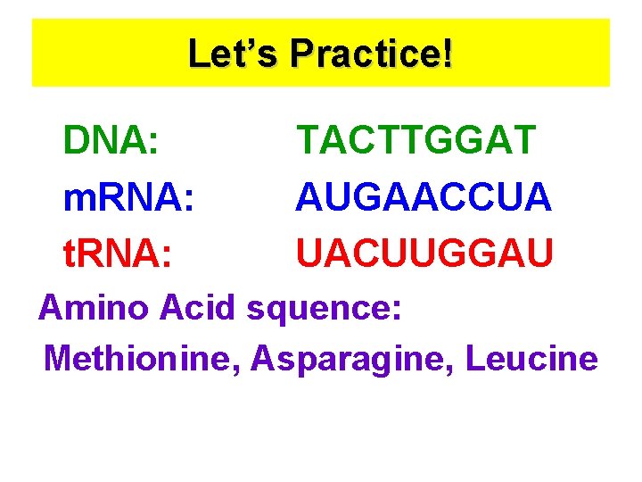 Let’s Practice! DNA: m. RNA: t. RNA: TACTTGGAT AUGAACCUA UACUUGGAU Amino Acid squence: Methionine,