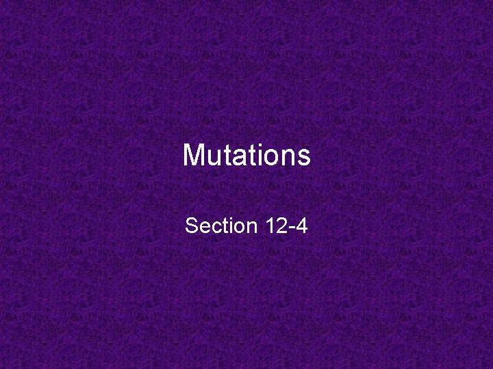 Mutations Section 12 -4 