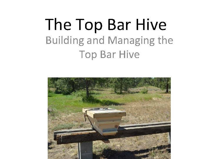 The Top Bar Hive Building and Managing the Top Bar Hive 