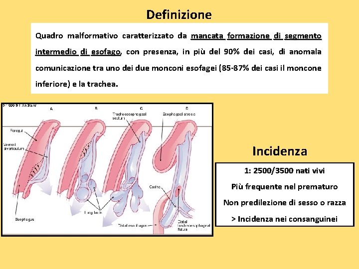 Definizione Quadro malformativo caratterizzato da mancata formazione di segmento intermedio di esofago, esofago con