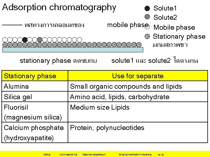 Adsorption chromatography ทศทางการเคลอนทของ stationary phase ดดซบกบ Stationary phase Alumina Silica gel Fluorisil (magnesium silica)