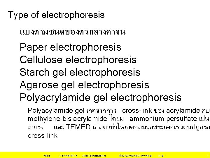 Type of electrophoresis แบงตามชนดของตวกลางคำจน Paper electrophoresis Cellulose electrophoresis Starch gel electrophoresis Agarose gel electrophoresis