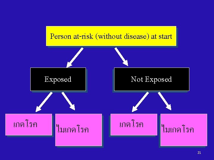 Person at-risk (without disease) at start Exposed เกดโรค ไมเกดโรค Not Exposed เกดโรค ไมเกดโรค 21