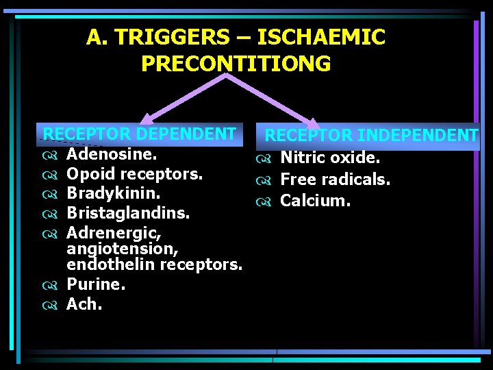 A. TRIGGERS – ISCHAEMIC PRECONTITIONG RECEPTOR DEPENDENT RECEPTOR INDEPENDENT Adenosine. Nitric oxide. Opoid receptors.