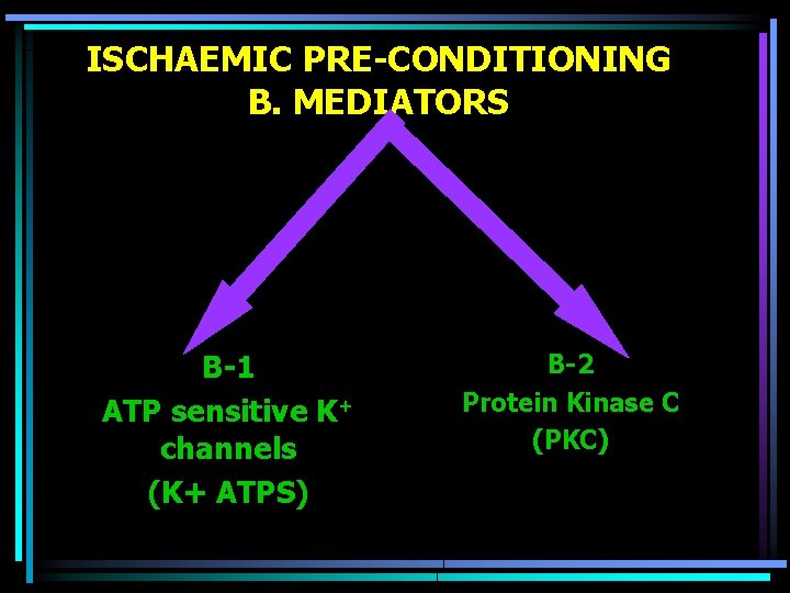 ISCHAEMIC PRE-CONDITIONING B. MEDIATORS B-1 ATP sensitive K+ channels (K+ ATPS) B-2 Protein Kinase