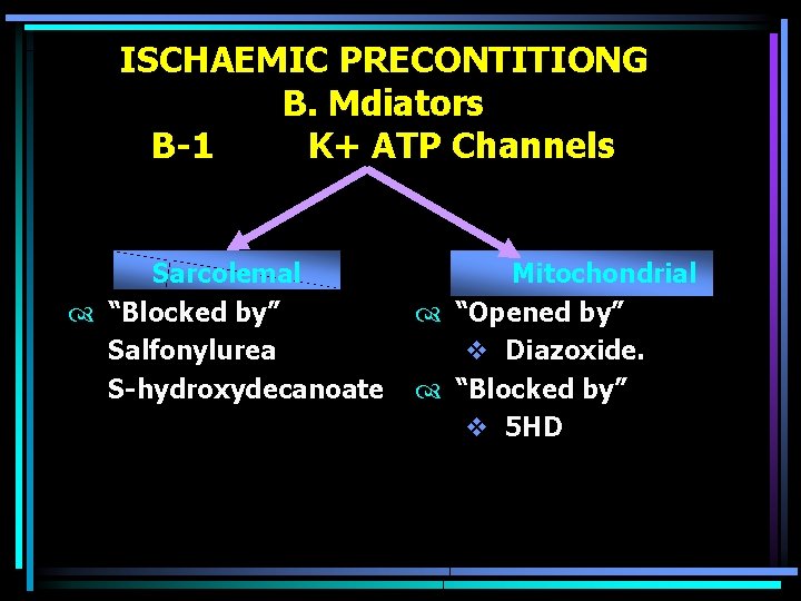 ISCHAEMIC PRECONTITIONG B. Mdiators B-1 K+ ATP Channels Sarcolemal “Blocked by” Salfonylurea S-hydroxydecanoate Mitochondrial