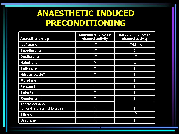 ANAESTHETIC INDUCED PRECONDITIONING Anaesthetic drug Mitochondrial. KATP channel activity Sarcolemmal KATP channel activity Isoflurane