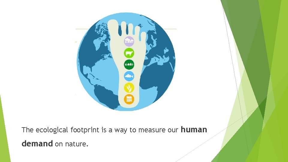 The ecological footprint is a way to measure our human demand on nature. 