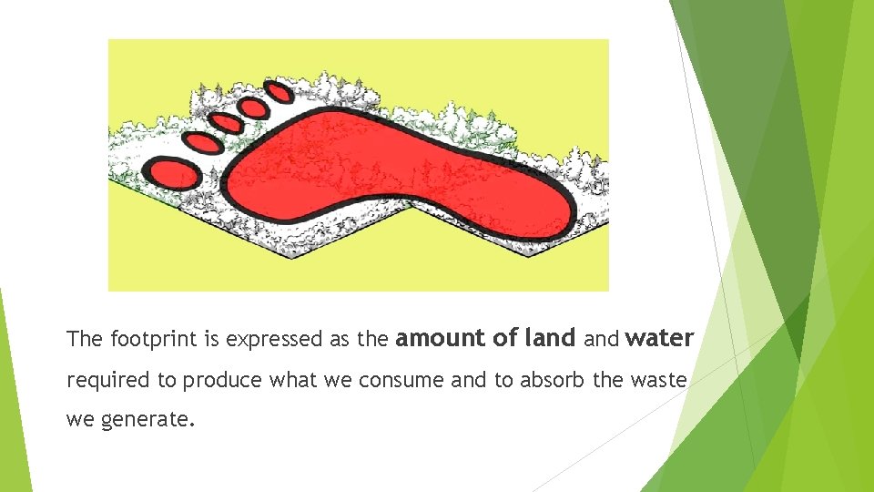 The footprint is expressed as the amount of land water required to produce what
