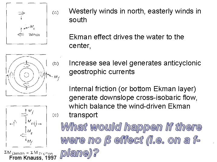 Westerly winds in north, easterly winds in south Ekman effect drives the water to