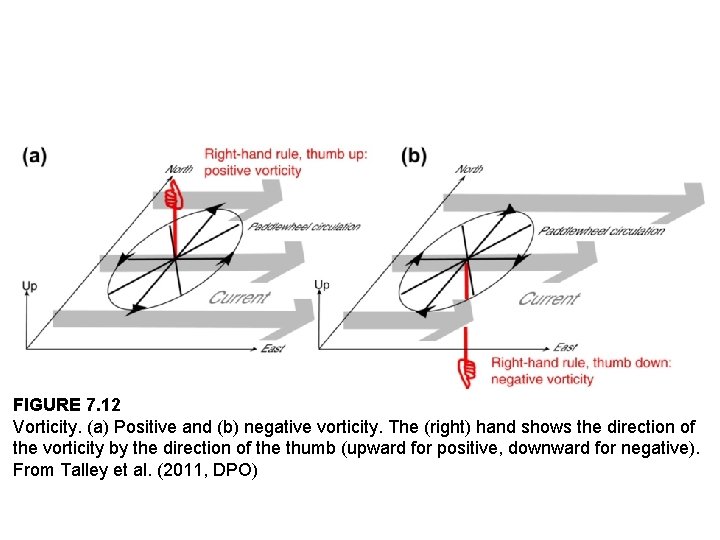 FIGURE 7. 12 Vorticity. (a) Positive and (b) negative vorticity. The (right) hand shows