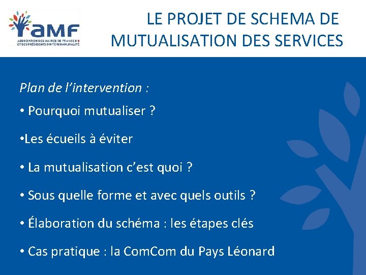 LE PROJET DE SCHEMA DE MUTUALISATION DES SERVICES Plan de l’intervention : • Pourquoi LE PROJET DE SCHEMA DE MUTUALISATION DES SERVICES Plan de l’intervention : • Pourquoi