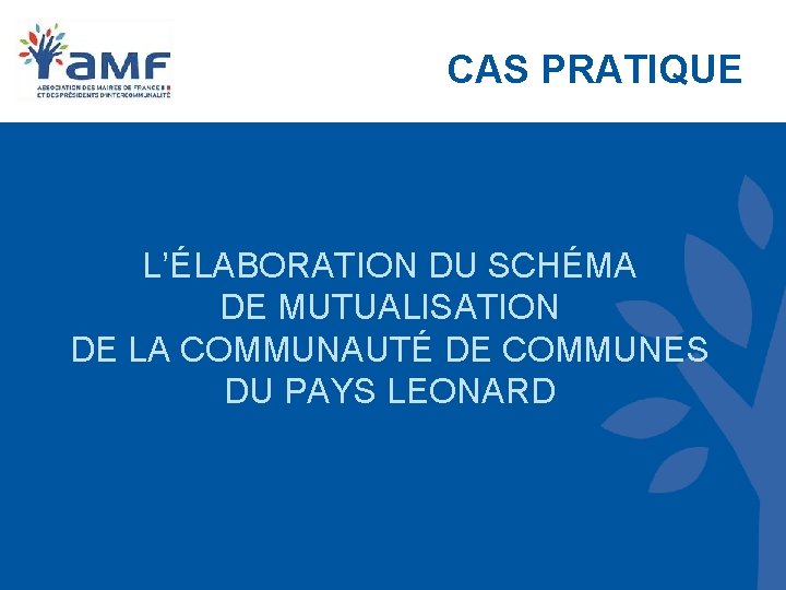 CAS PRATIQUE L’ÉLABORATION DU SCHÉMA DE MUTUALISATION DE LA COMMUNAUTÉ DE COMMUNES DU PAYS CAS PRATIQUE L’ÉLABORATION DU SCHÉMA DE MUTUALISATION DE LA COMMUNAUTÉ DE COMMUNES DU PAYS