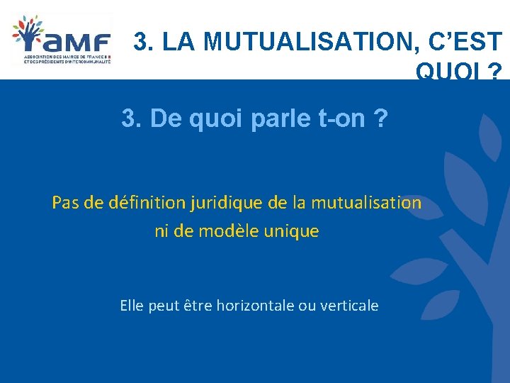 3. LA MUTUALISATION, C’EST QUOI ? 3. De quoi parle t-on ? Pas de 3. LA MUTUALISATION, C’EST QUOI ? 3. De quoi parle t-on ? Pas de
