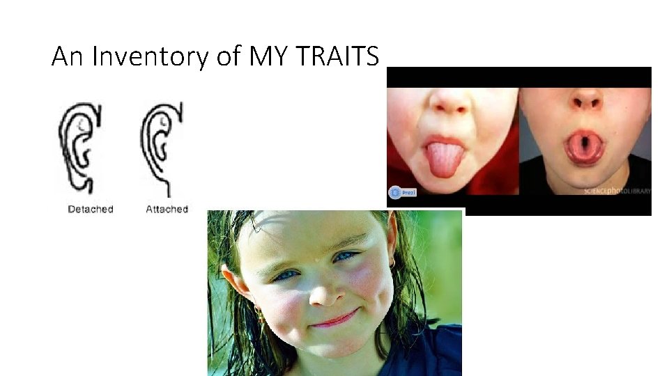 An Inventory of MY TRAITS 
