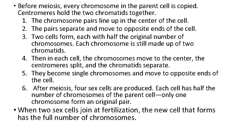  • Before meiosis, every chromosome in the parent cell is copied. Centromeres hold
