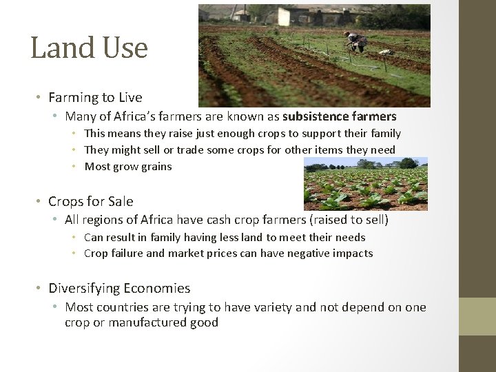 Land Use • Farming to Live • Many of Africa’s farmers are known as