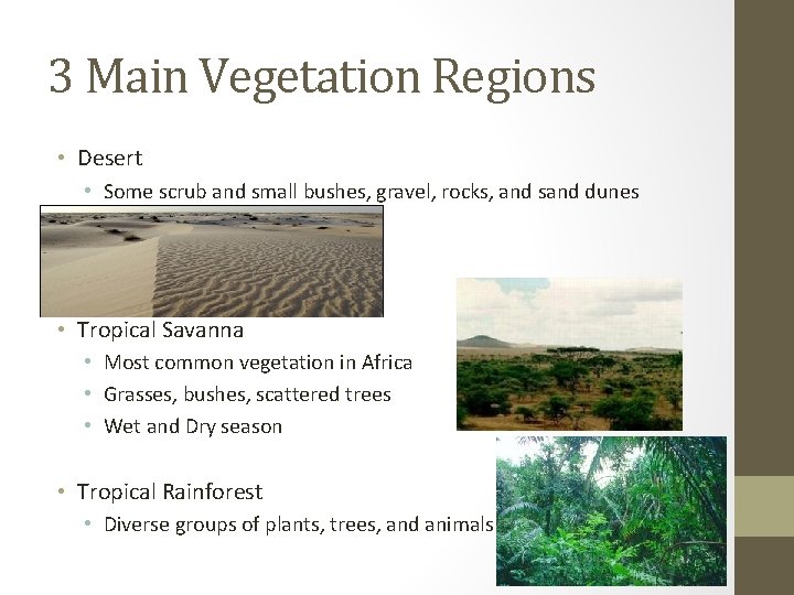 3 Main Vegetation Regions • Desert • Some scrub and small bushes, gravel, rocks,