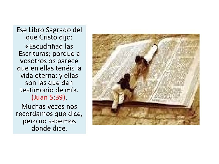 Ese Libro Sagrado del que Cristo dijo: «Escudriñad las Escrituras; porque a vosotros os