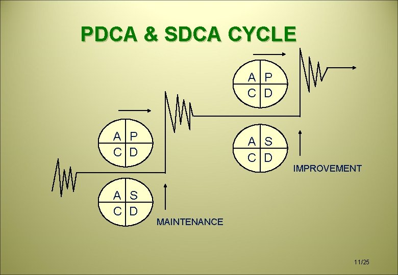 PDCA & SDCA CYCLE A P C D A S C D IMPROVEMENT MAINTENANCE