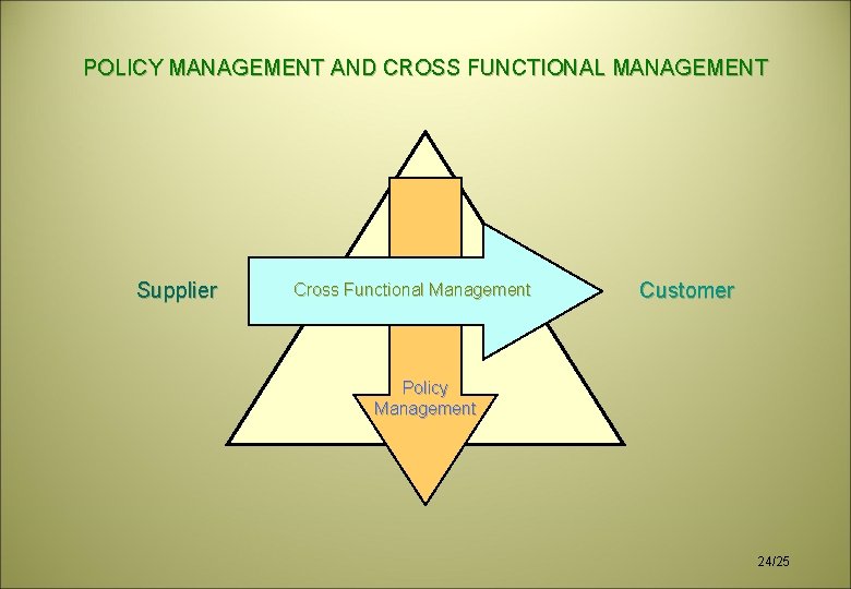 POLICY MANAGEMENT AND CROSS FUNCTIONAL MANAGEMENT Supplier Cross Functional Management Customer Policy Management 24/25