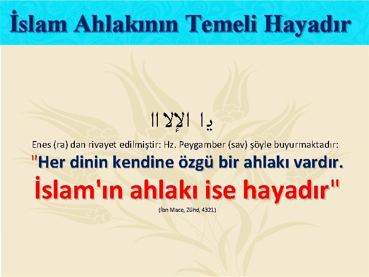 İslam Ahlakının Temeli Hayadır ﻳ ﺍ ﺍﻹﻻ ﺍﺍ Enes (ra) dan rivayet edilmiştir: Hz.