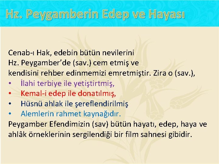 Hz. Peygamberin Edep ve Hayası Cenab-ı Hak, edebin bütün nevilerini Hz. Peygamber’de (sav. )