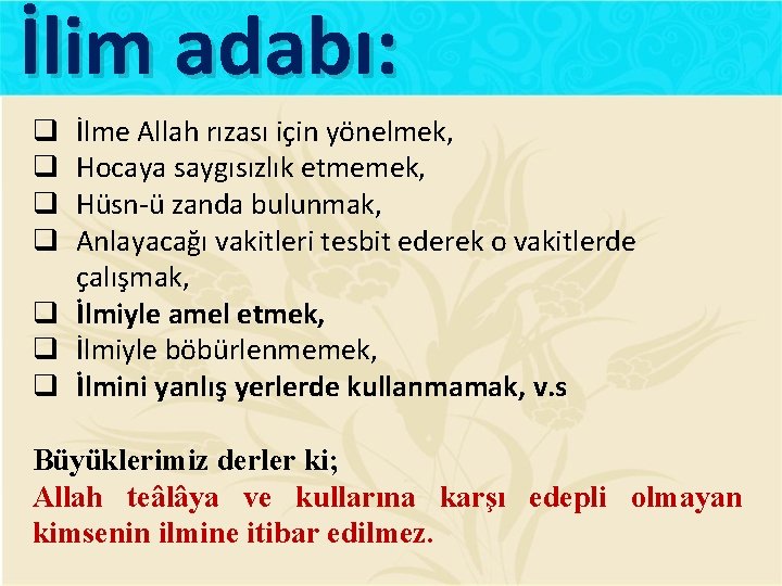 İlim adabı: İlme Allah rızası için yönelmek, Hocaya saygısızlık etmemek, Hüsn-ü zanda bulunmak, Anlayacağı