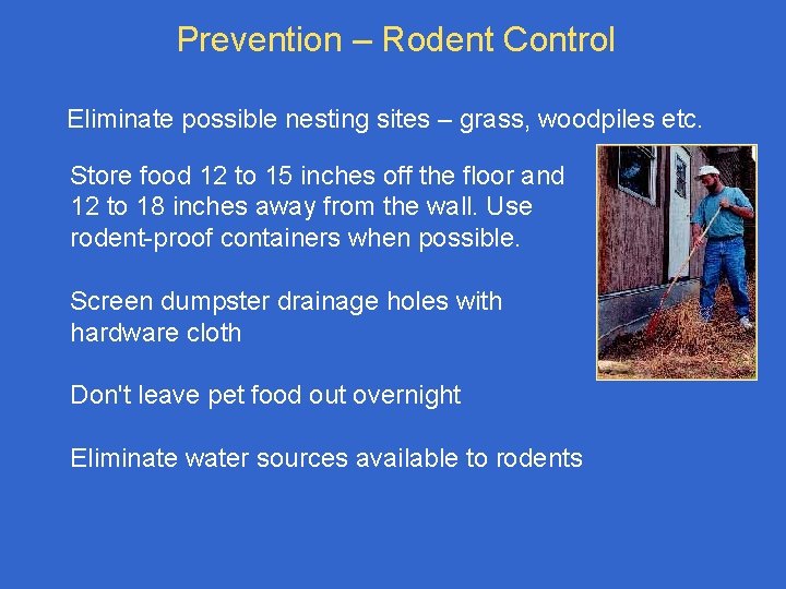 Prevention – Rodent Control Eliminate possible nesting sites – grass, woodpiles etc. Store food