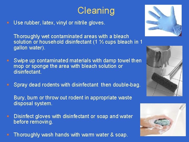 Cleaning § Use rubber, latex, vinyl or nitrile gloves. Thoroughly wet contaminated areas with